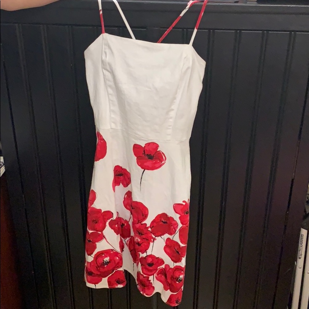 Alyn Paige dress
